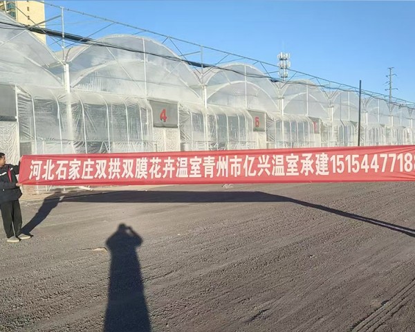 河北石家莊雙拱雙膜花卉溫室