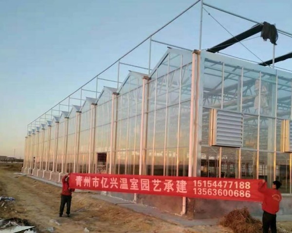 山東東營溫室工程案例