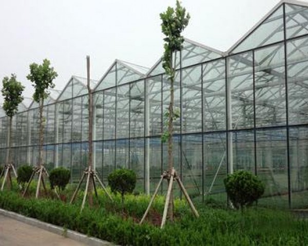 玻璃溫室