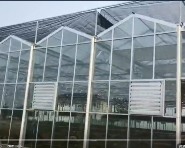 玻璃溫室案例施工現(xiàn)場