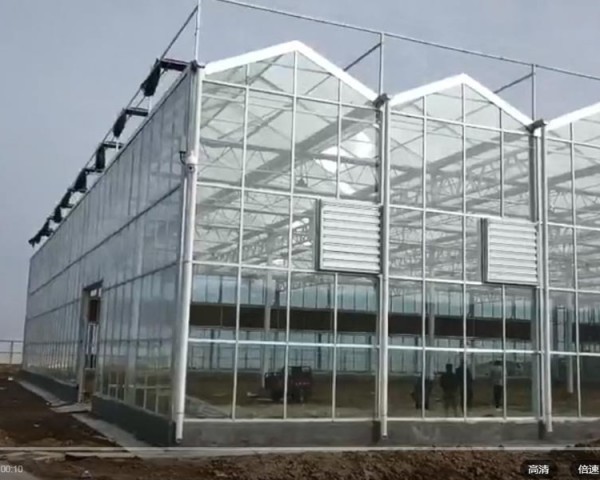 溫室工程現(xiàn)場