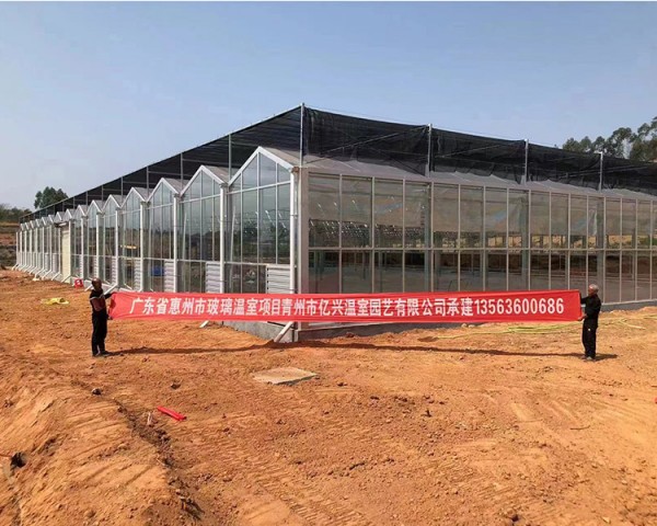 廣東省惠州市玻璃溫室項目