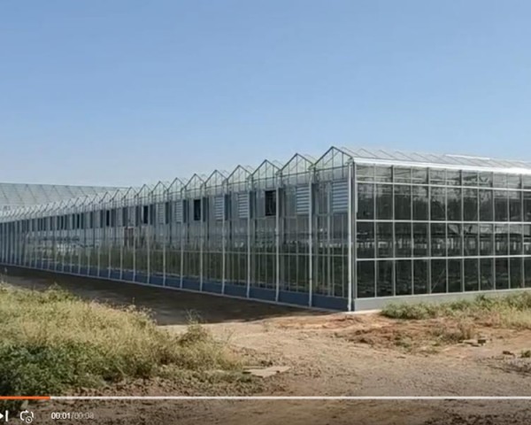 溫室現(xiàn)場案例