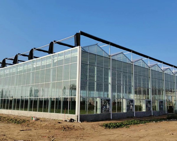 玻璃溫室